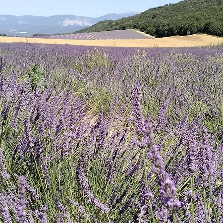 La Provence Vous Attend***!!! - 1er Etage Apartmán